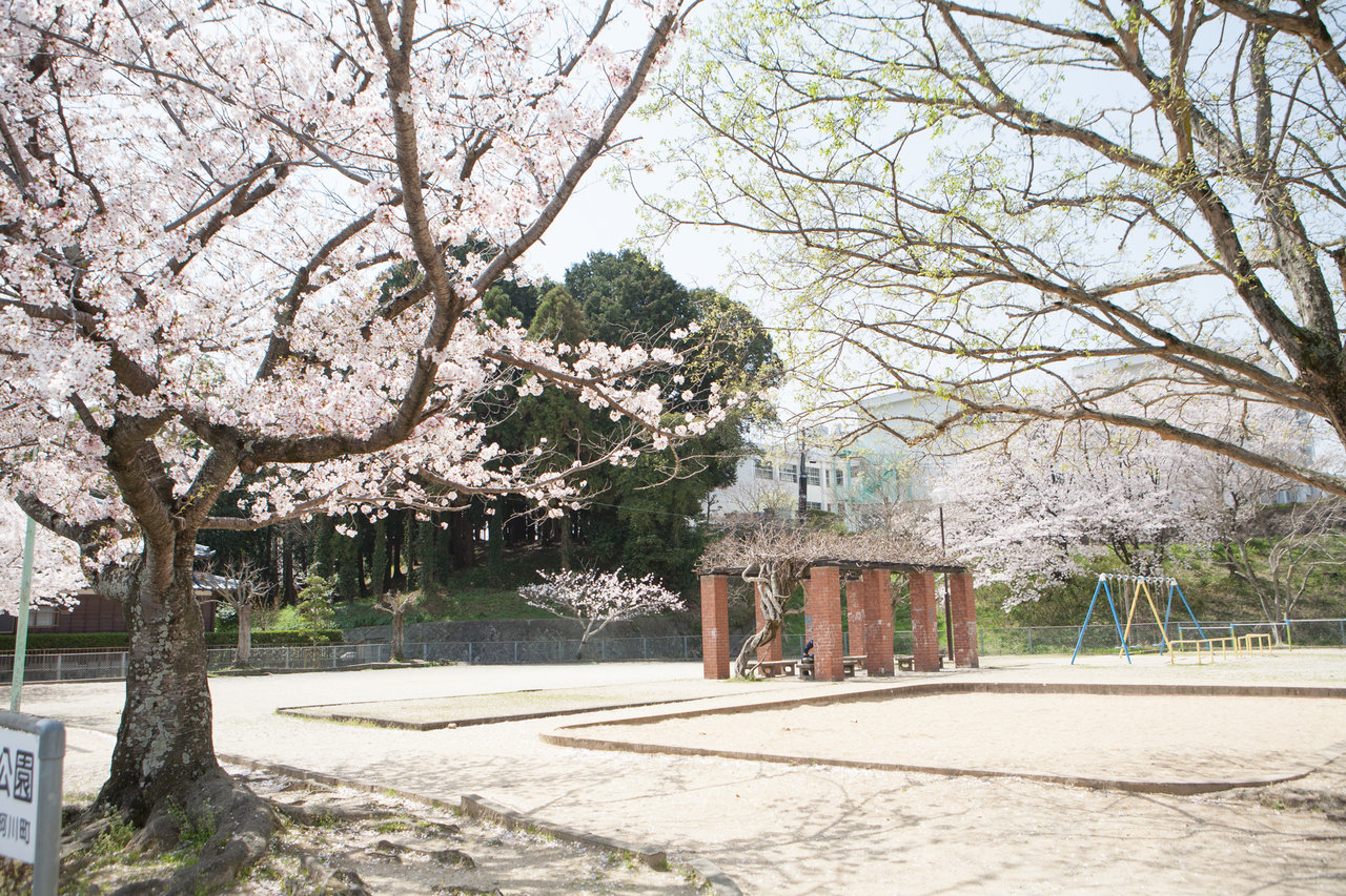 内田公園１