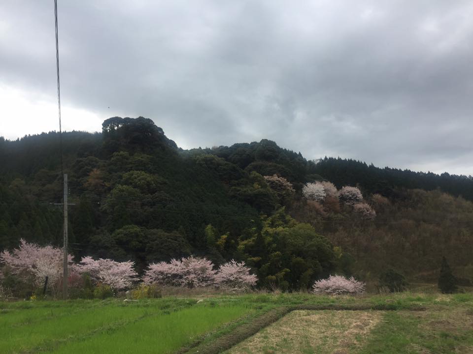 アルモンデの敷地内