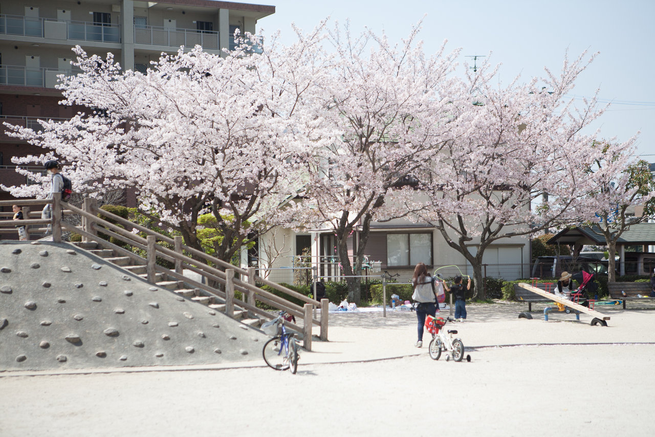 野入公園１