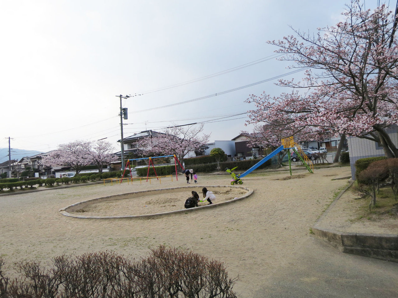 那珂川町の中原公園の桜１