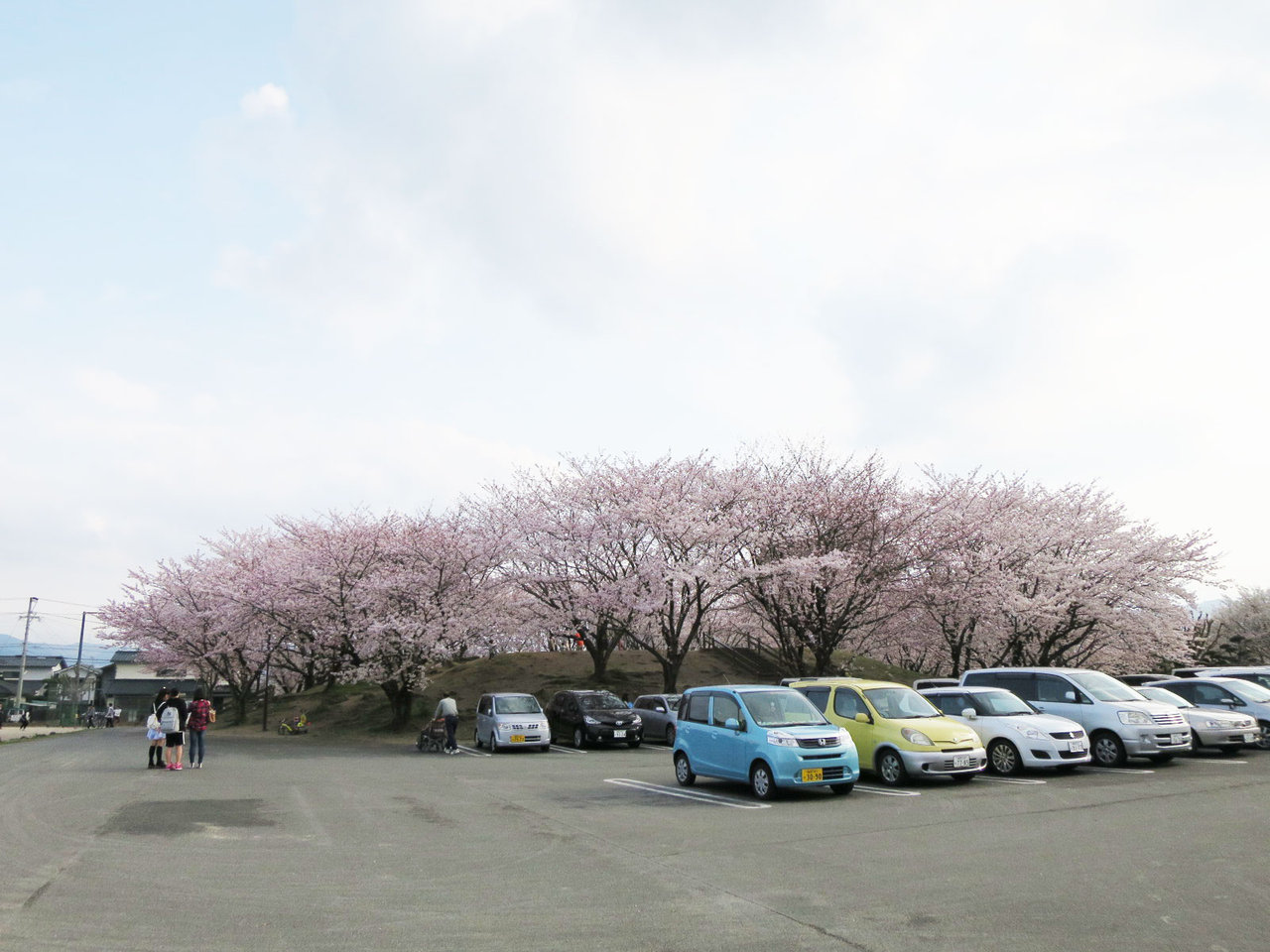 那珂川町の安徳公園の桜１