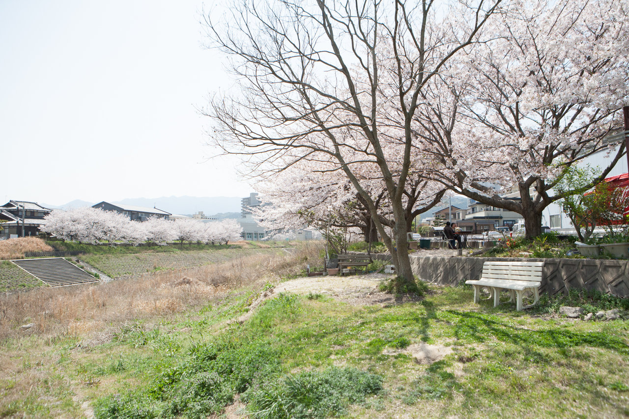 仲公園の向かいの川岸２