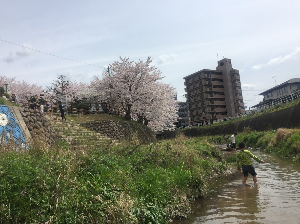 安徳公園脇の小川