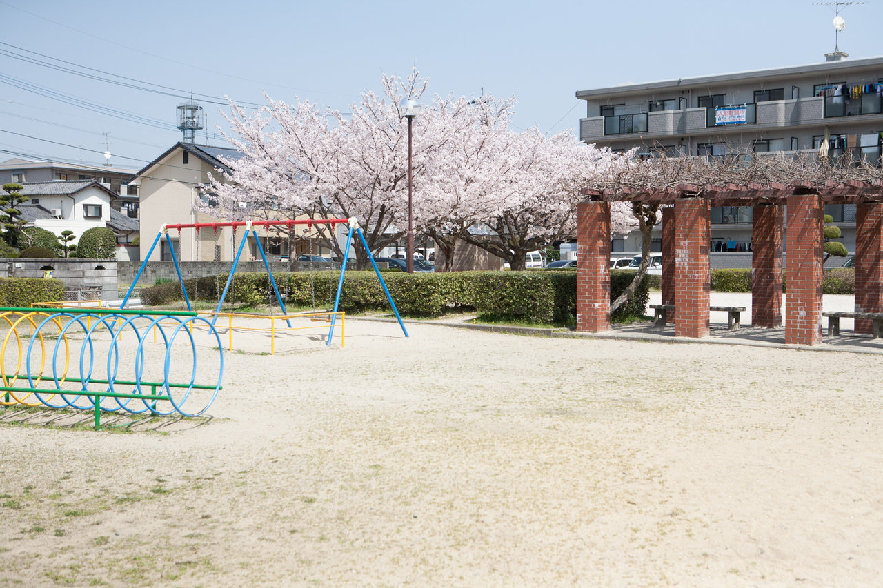 仲公園２