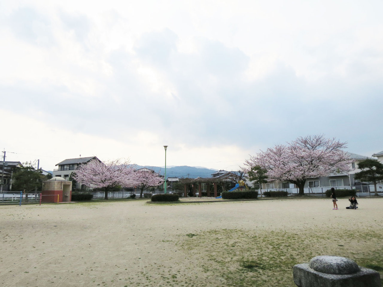 那珂川町の前田公園の桜