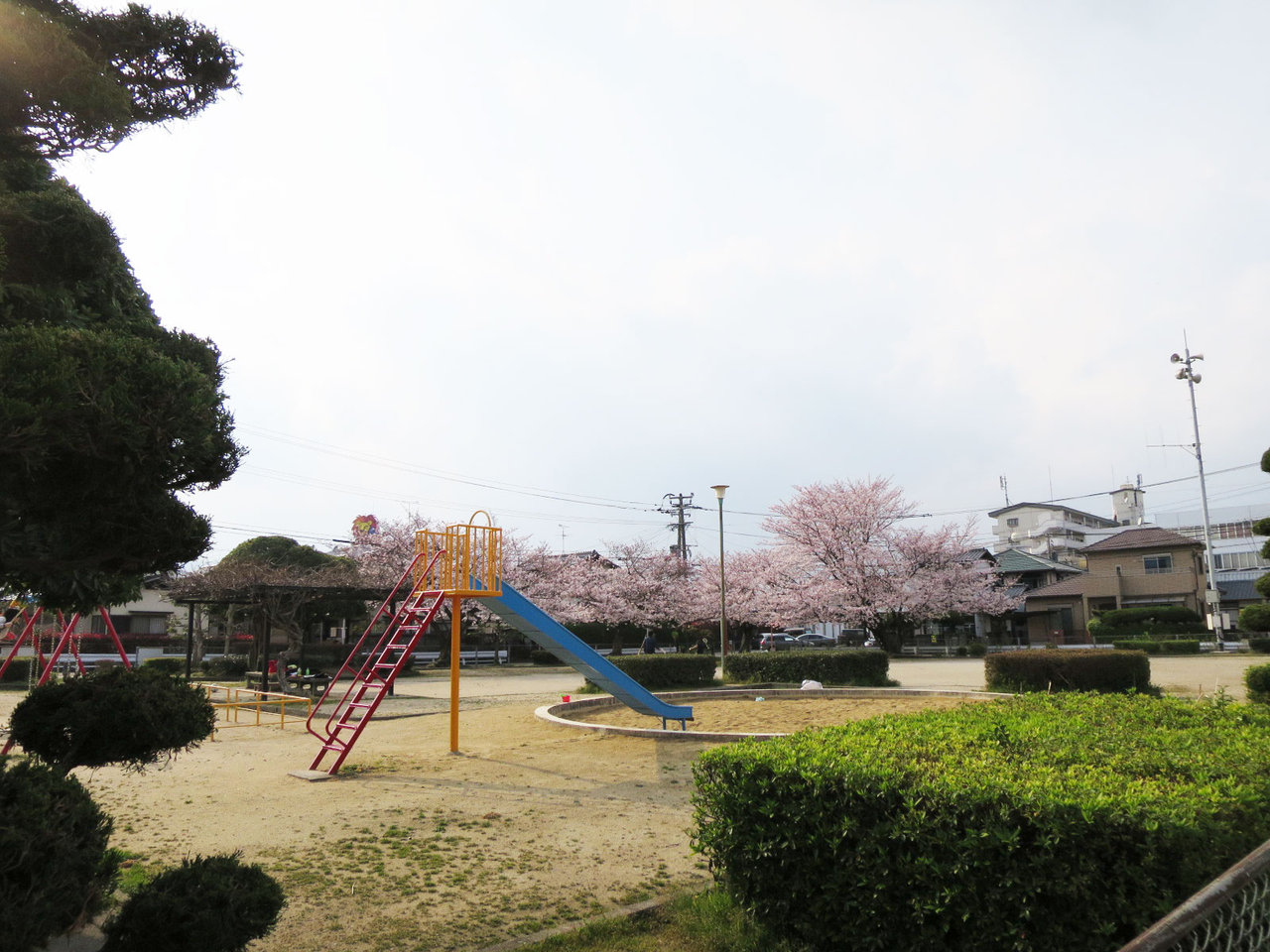 那珂川町の鷹取公園の桜