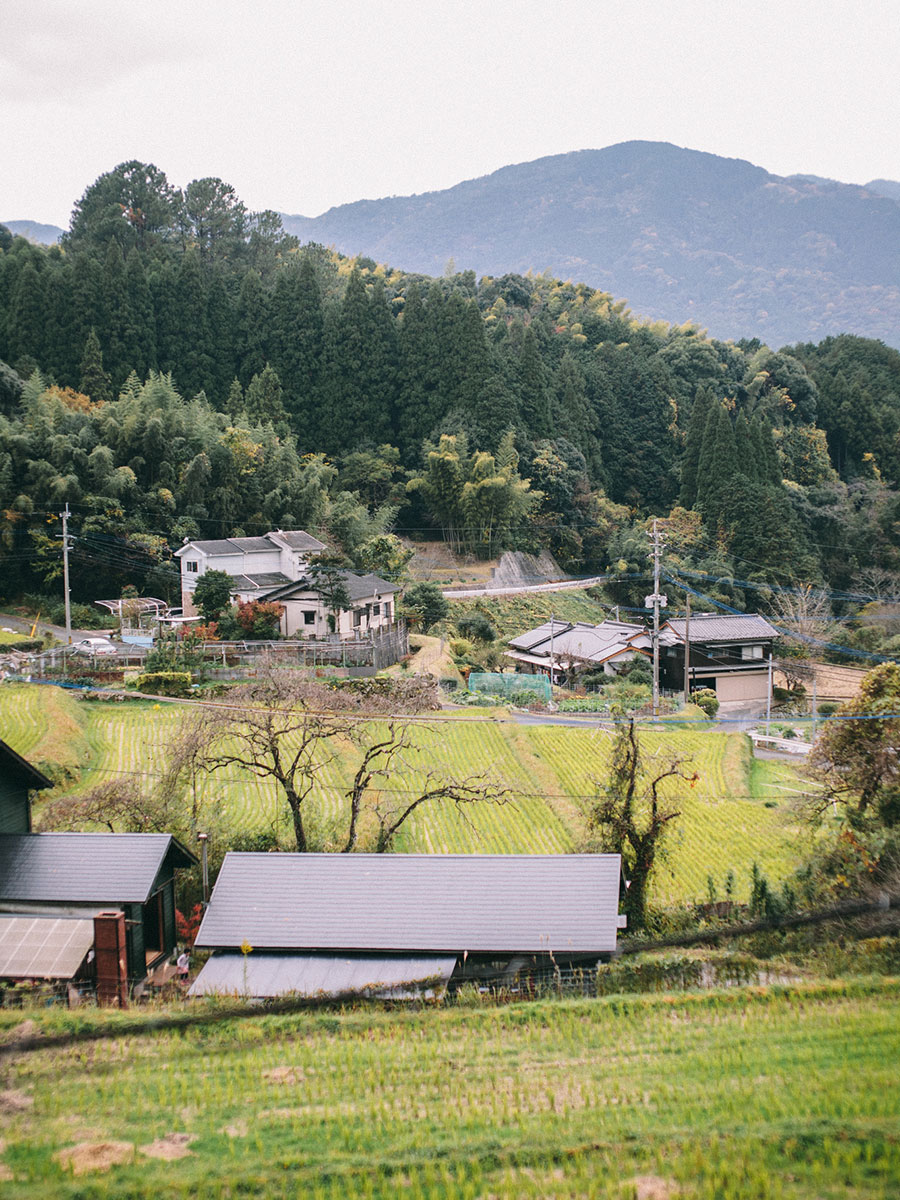 napanから埋金の景色