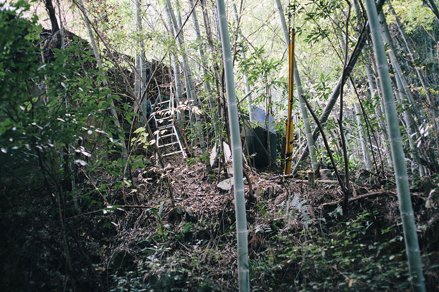 斜面で藪の中の境界を測量していく