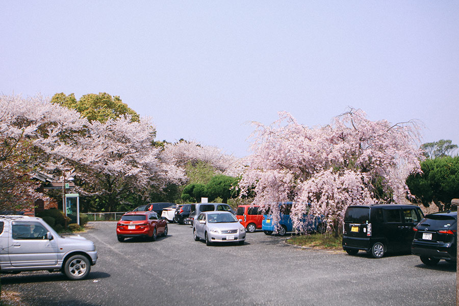 入口付近の駐車場