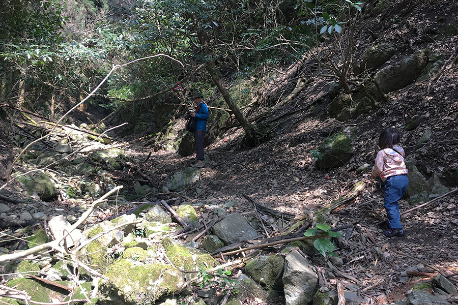 少々荒れてる登山道