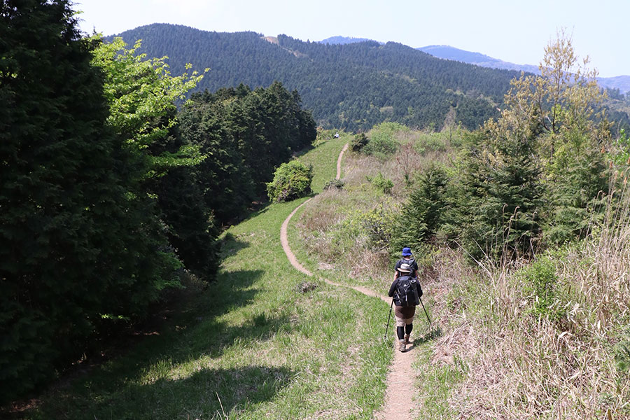 牛斬山を越えたら縦走路