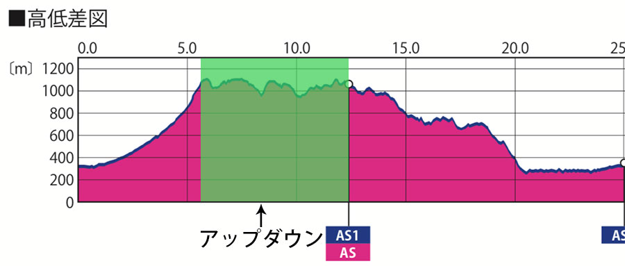 高低差図（前半の後半のエイドまで）