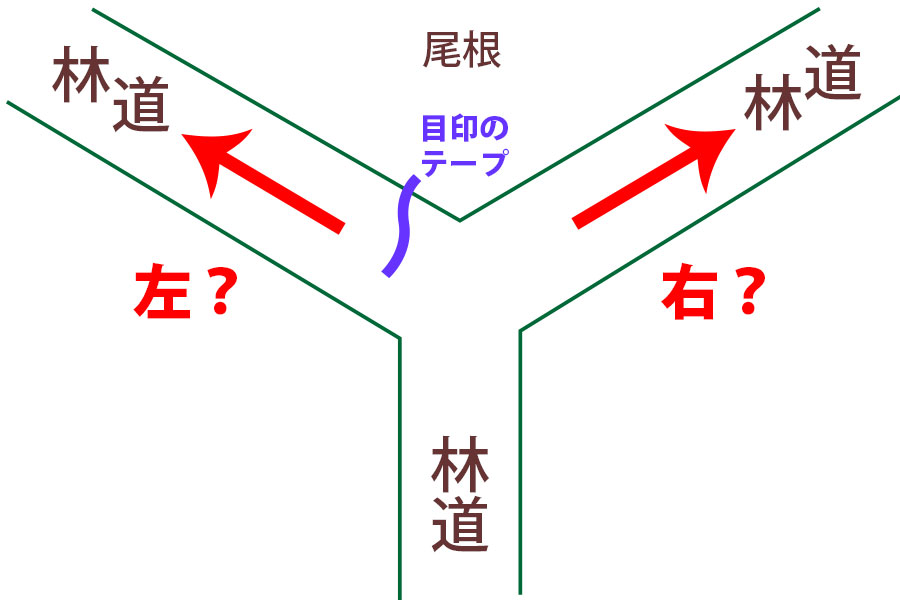 ケース2（問題）