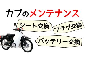 カブのメンテナンス